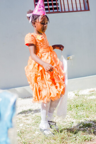 Mirline